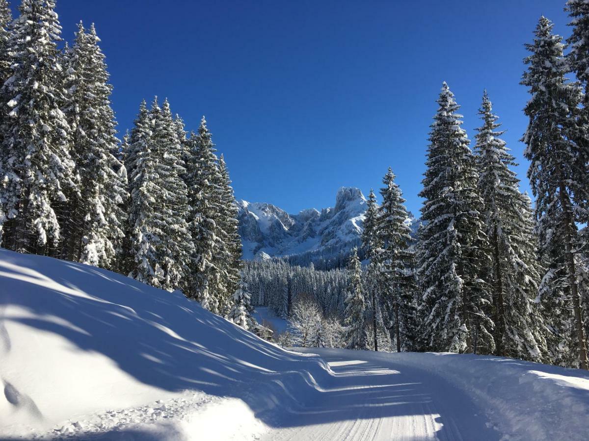 Apartment Kraemerhaus Annaberg, Dachstein West Dış mekan fotoğraf