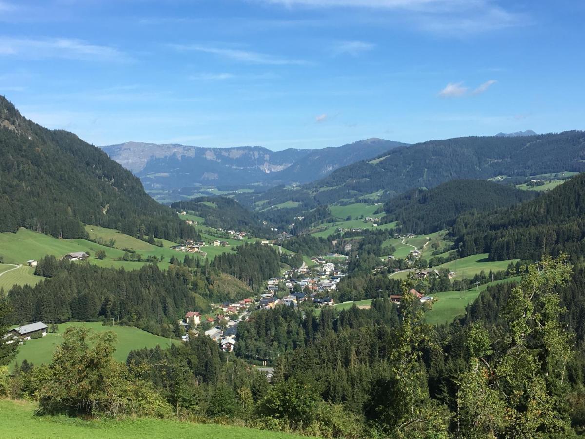 Apartment Kraemerhaus Annaberg, Dachstein West Dış mekan fotoğraf